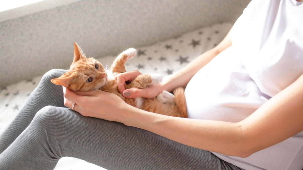 Toxoplasmoza la femeile insarcinate si riscul de avort