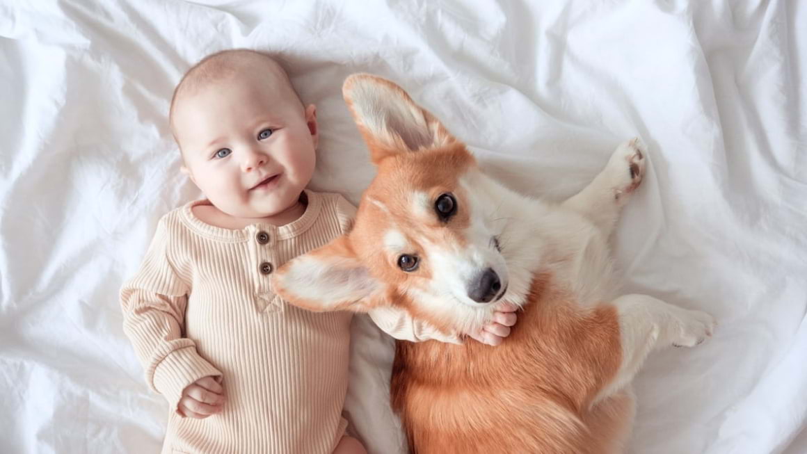 Bebelusul si animalele de companie: e bine sau nu sa ai in casa un companion?