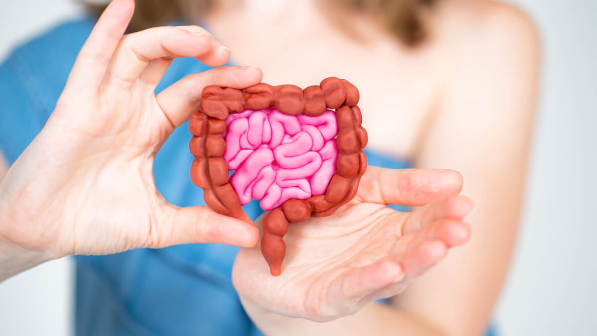 Microbiomul intestinal joaca un rol important in ateroscleroza