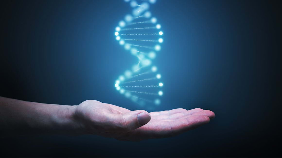 Noi mijloace pentru tratarea artrozei, pe baza unui studiu genetic