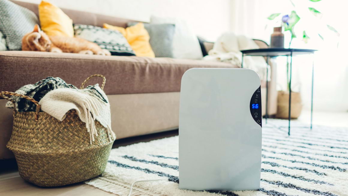 Umiditatea optima in casa: care este nivelul si cum se obtine?