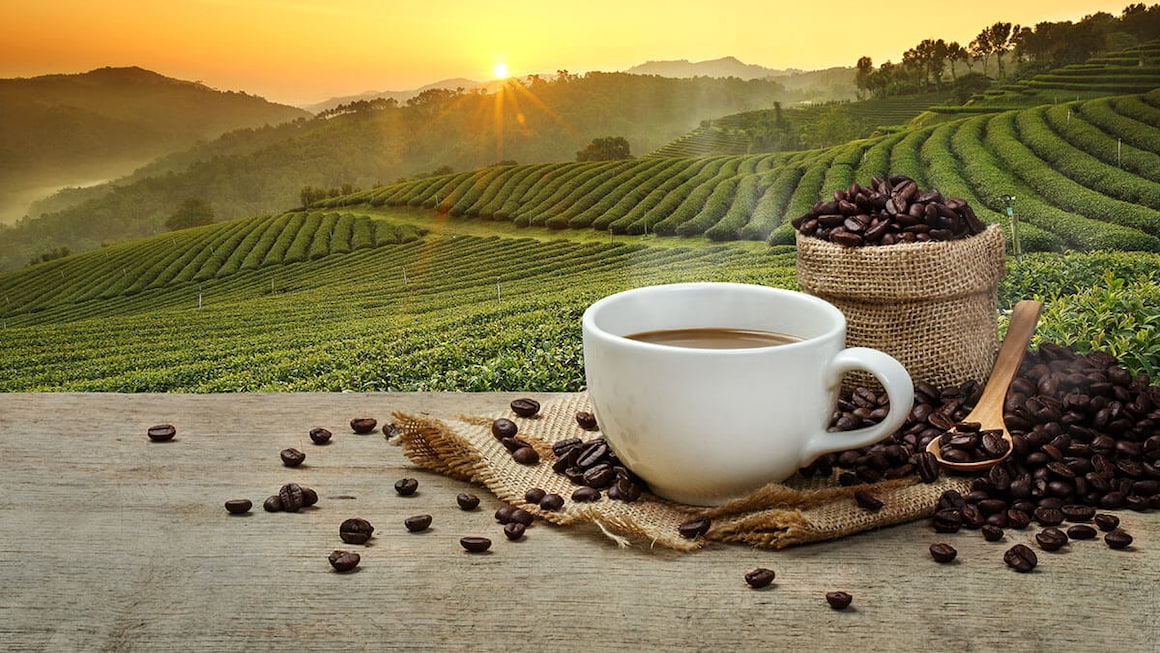 Beneficiile cafelei in afectiunile hepatice