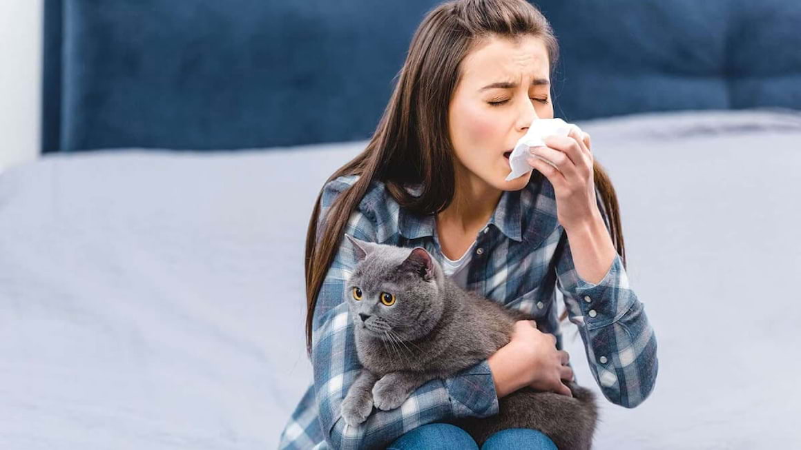 Alergia la pisici: o nouă metodă de tratament