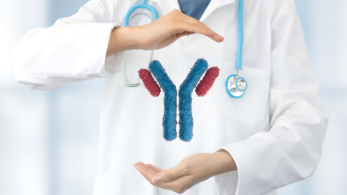 Anticorpii monoclonali, folositi in tratarea melanomului