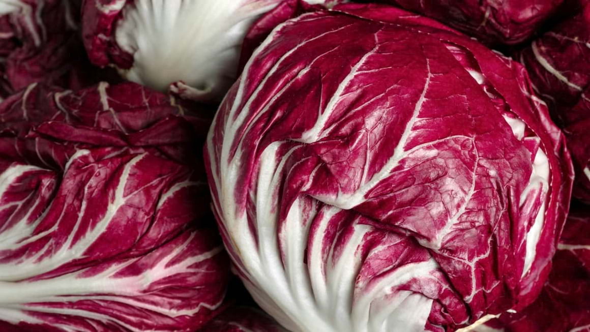 Radicchio sau cicoarea rosie: beneficii si retete