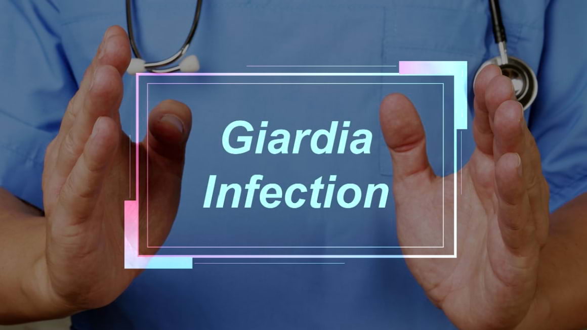 Giardioza: cauze, simptome si tratament