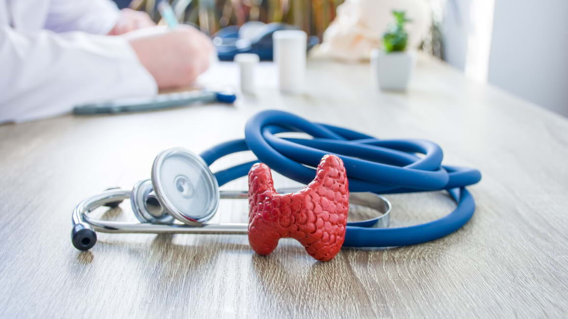 Endocrinologie: ce este și când trebuie să mergi la un control