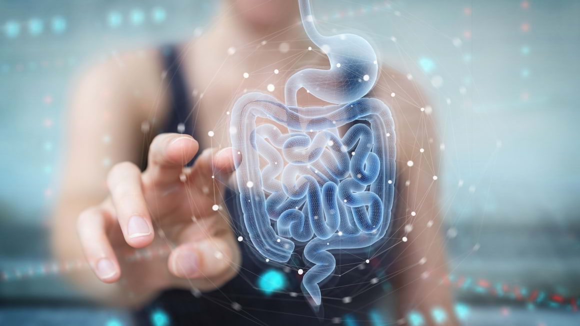 De ce a început să fie considerat microbiomul ca fiind al doilea creier?