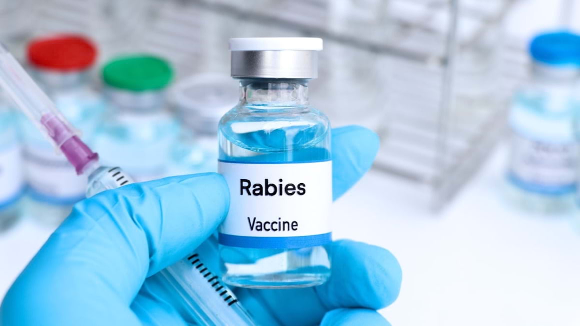 Rabia, boala fatala care poate fi prevenita