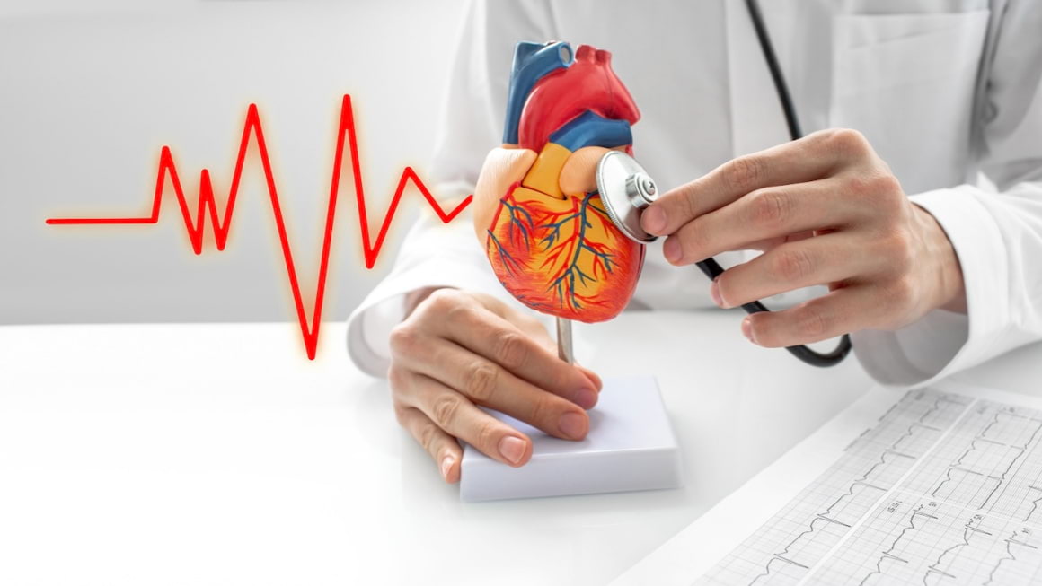 Scurt ghid pentru boli cardiovasculare: tipuri, factori de risc, prevenție și tratament