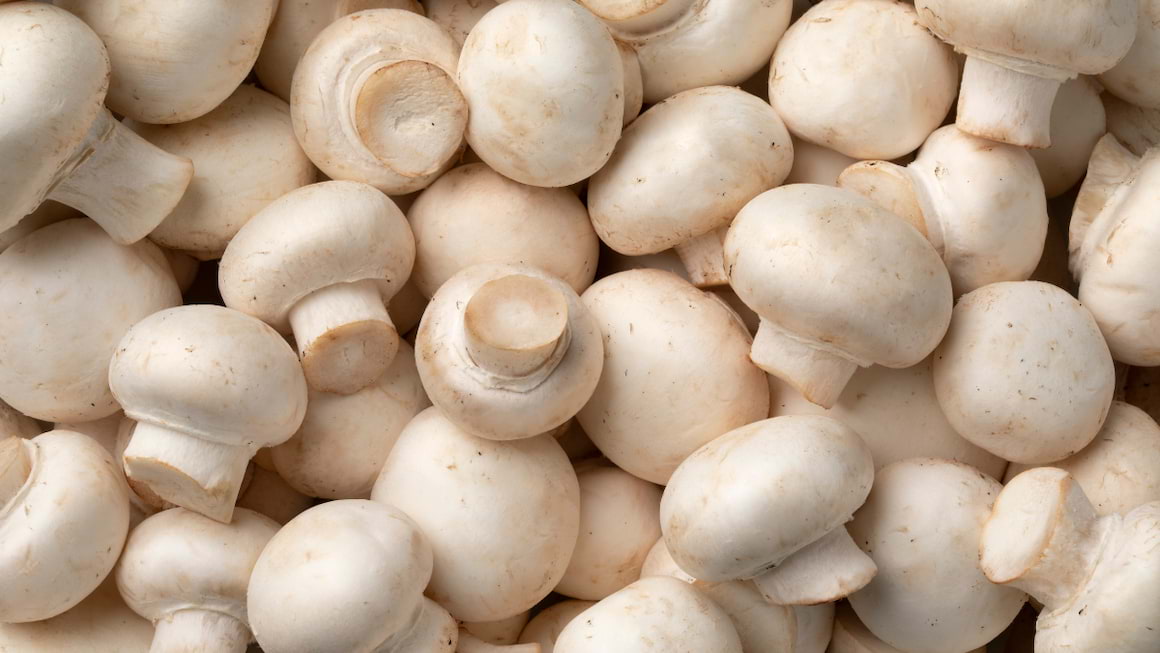 Ciupercile, importante într-un regim alimentar echilibrat