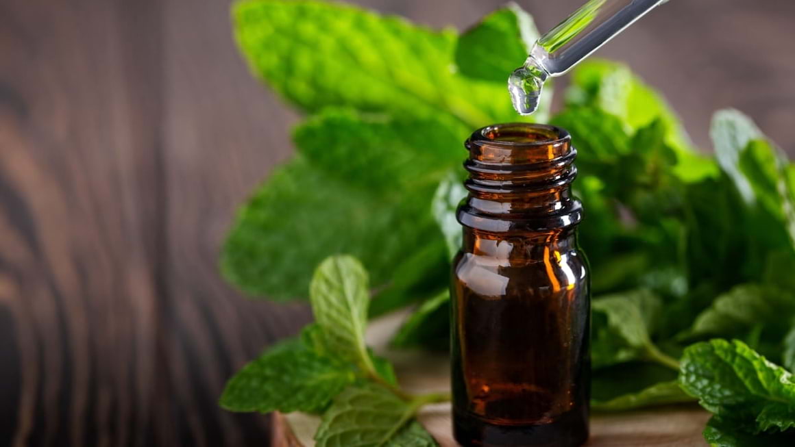 Proprietatile vindecatoare ale uleiului de menta