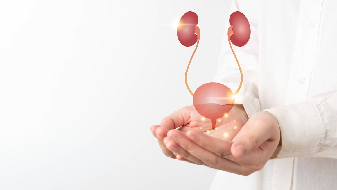 Infectiile de tract urinar (ITU): cauze, simptome, tratament