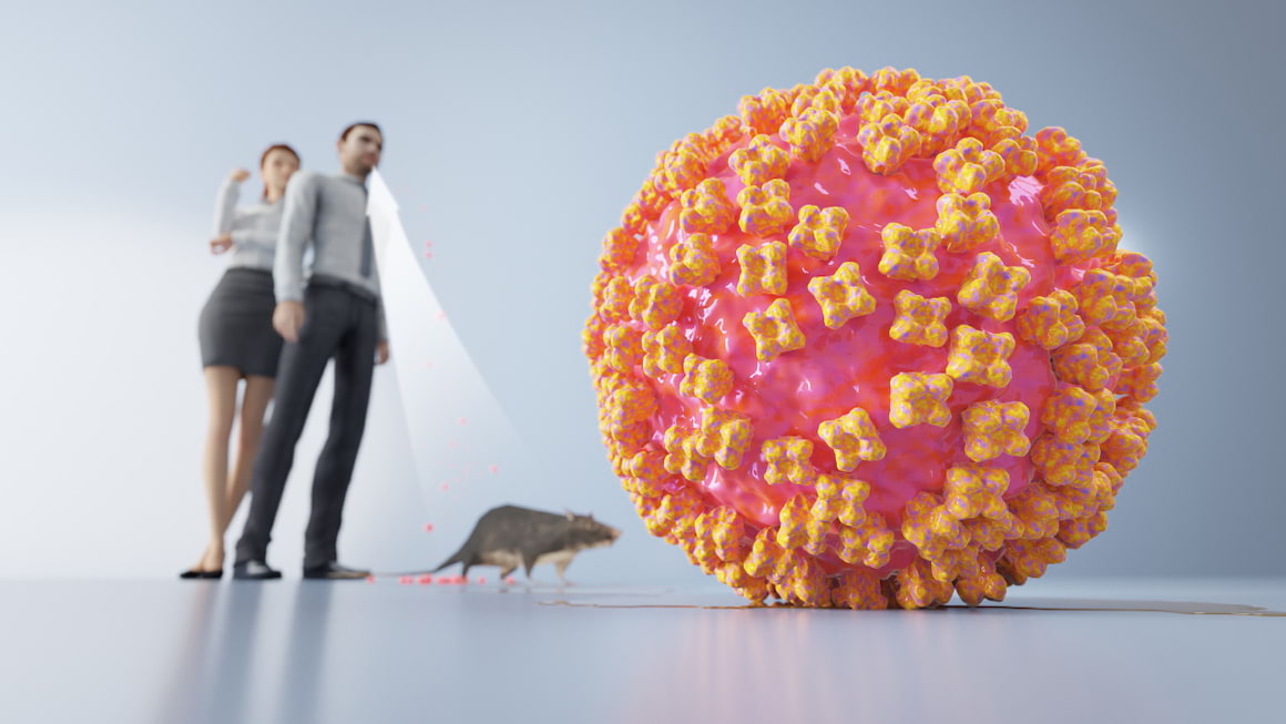 Totul despre hantavirus: cauze, simptome, diagnostic, tratament