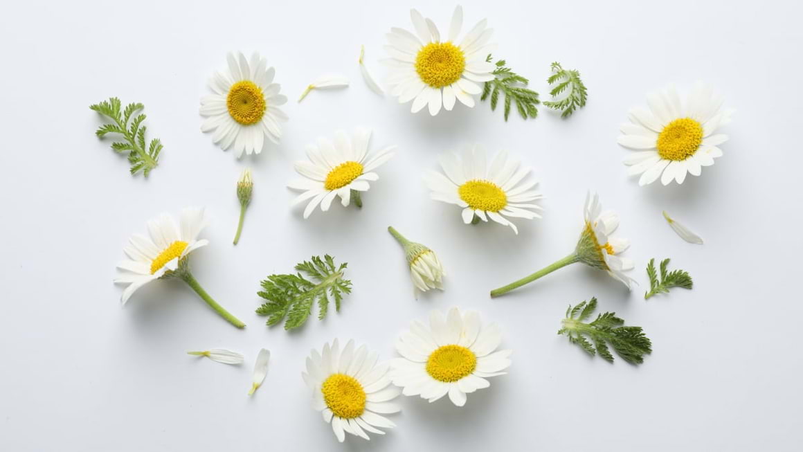 Tratamentele alopate și naturale care vindecă cistita