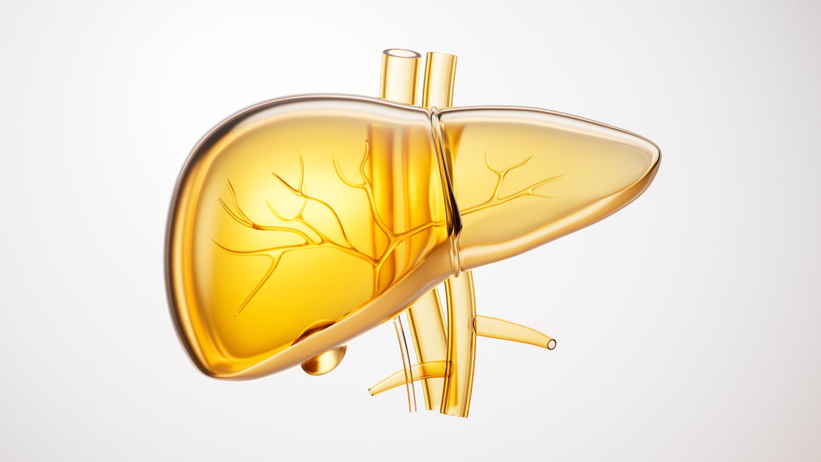 Hepatita C si sistemul imunitar