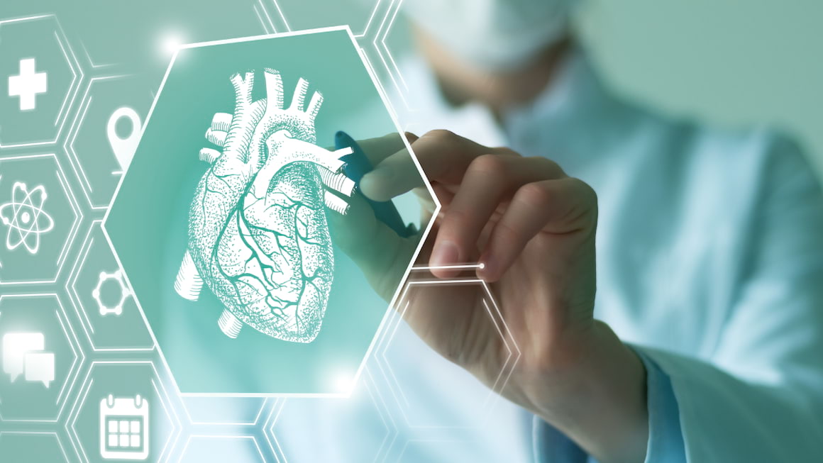 Genele asociate cu dimensiunea abdomenului sunt asociate și cu bolile cardiace