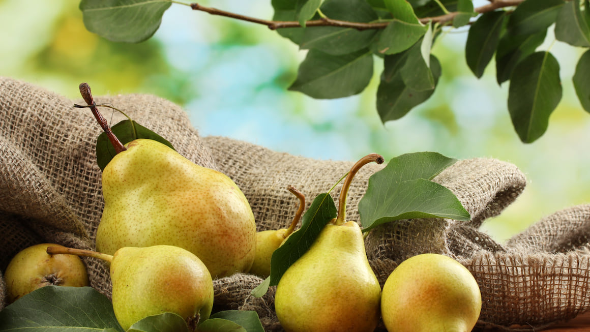 Beneficii pere: 10 motive pentru care sa consumi aceste fructe