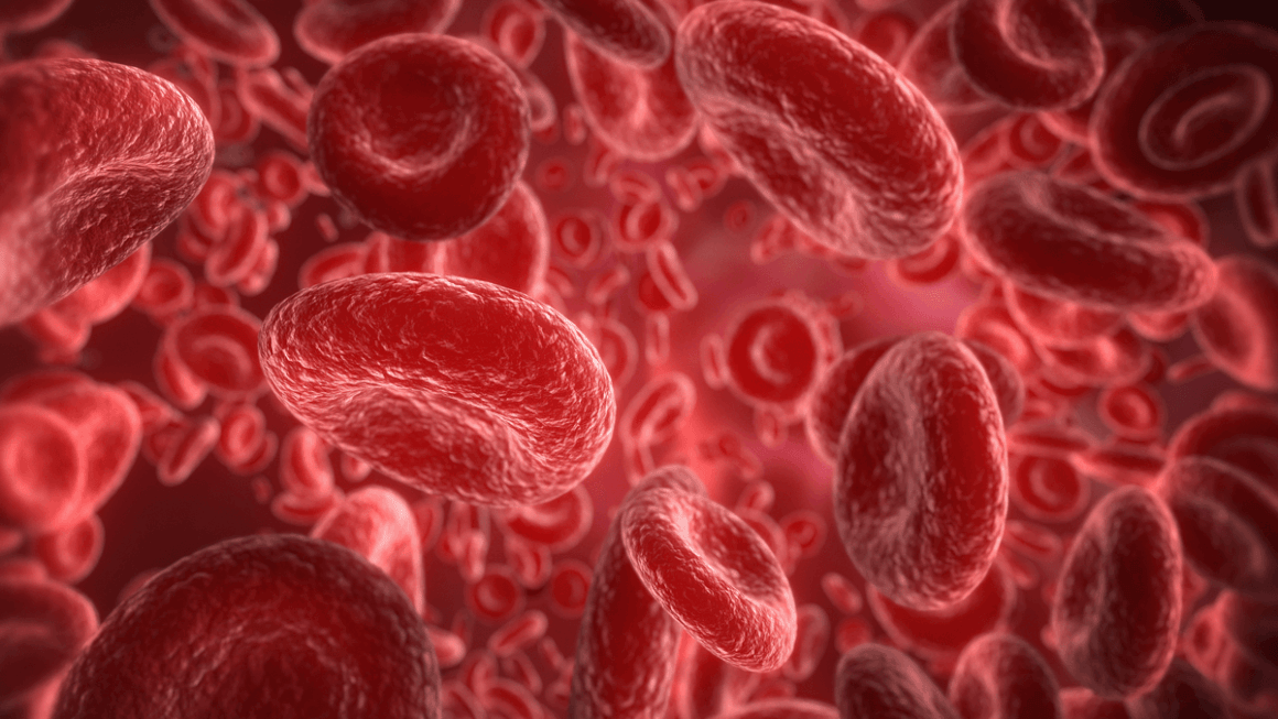 Totul despre Hemoglobină: ce este, tipuri, boli asociate și tratament