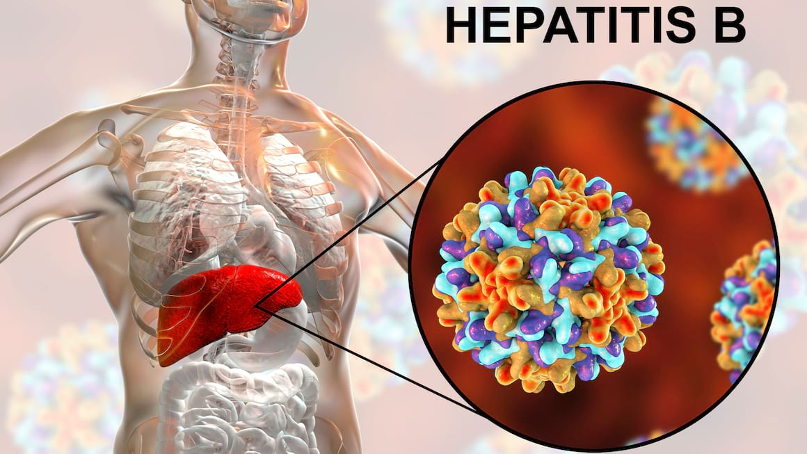 Hepatita B: transmitere, complicații, tratament, prevenire