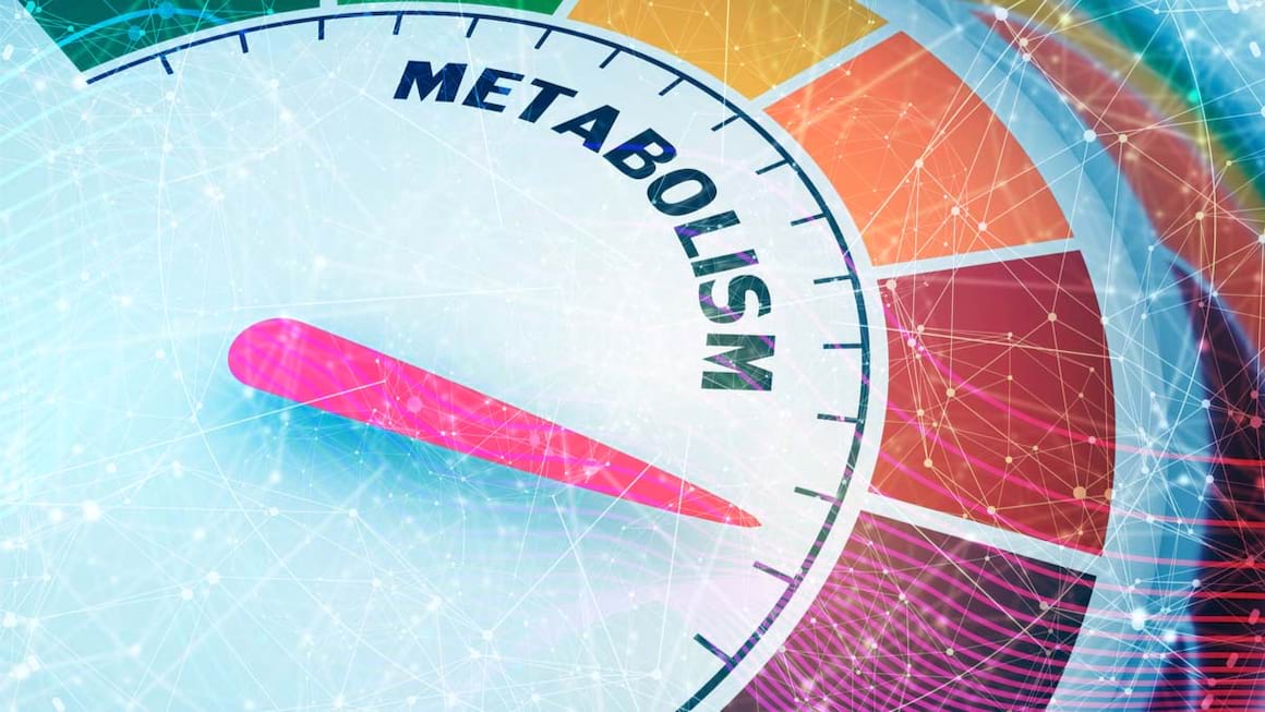 Cum functioneaza metabolismul, in functie de varsta