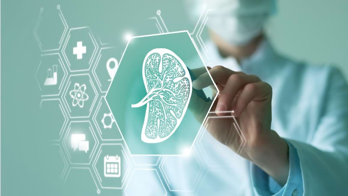 Splenomegalia sau marirea splinei: cauze, simptome, tratament