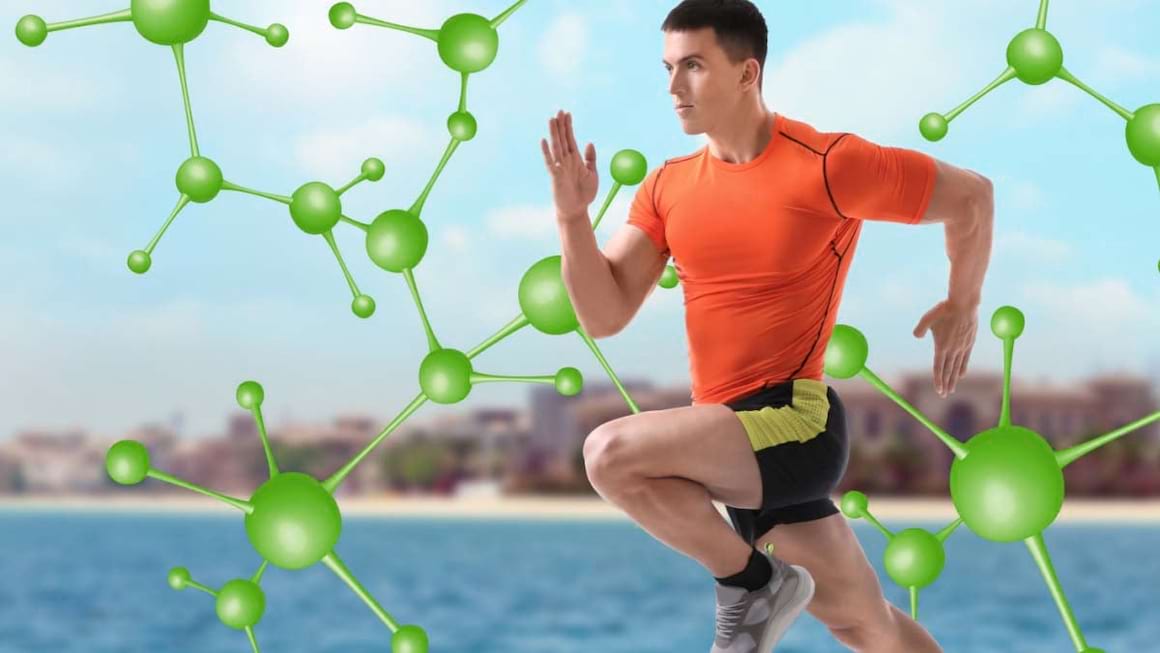 Cum functioneaza metabolismul si cum acceleram arderile?