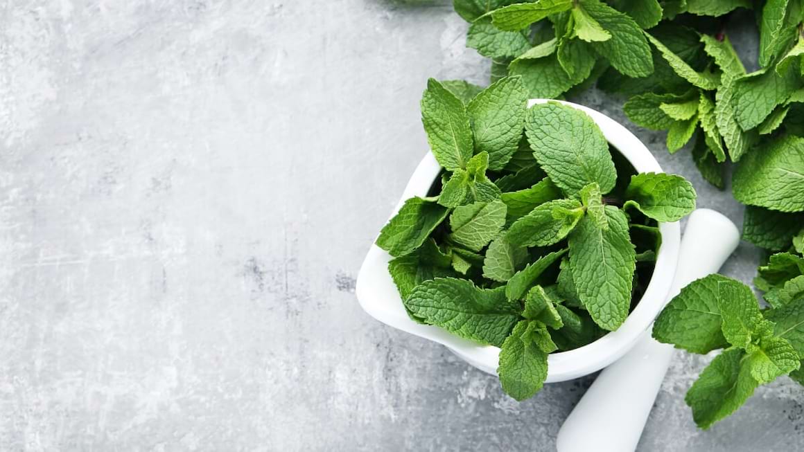 Plante utile în ameliorarea simptomelor virozelor respiratorii