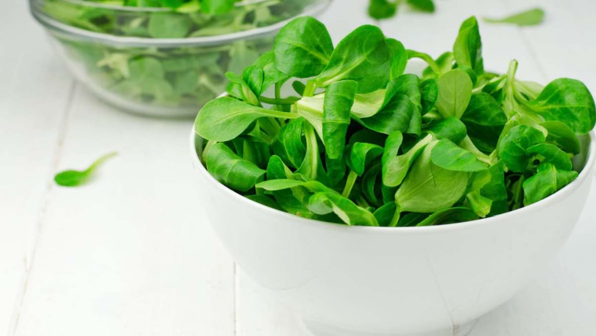 Salata de camp sau fetica: beneficii si retete