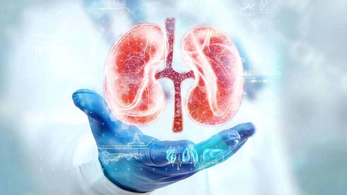 Nefropatia diabetica: simptome, cauze, tratament