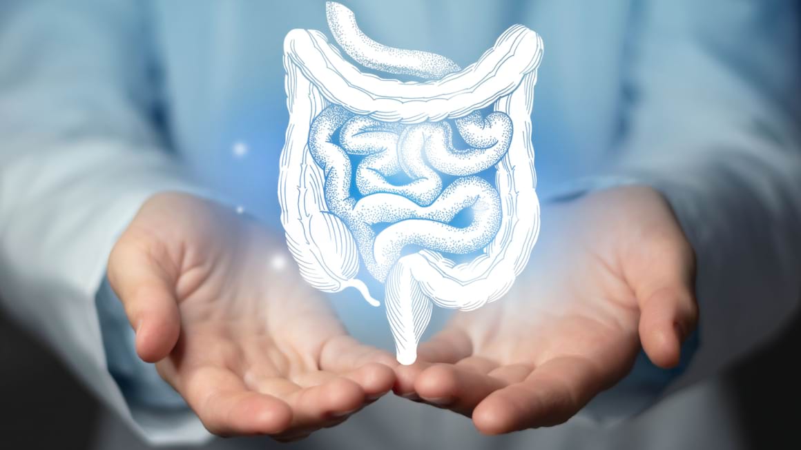 Impactul bolilor inflamatorii intestinale asupra femeii vs barbatului