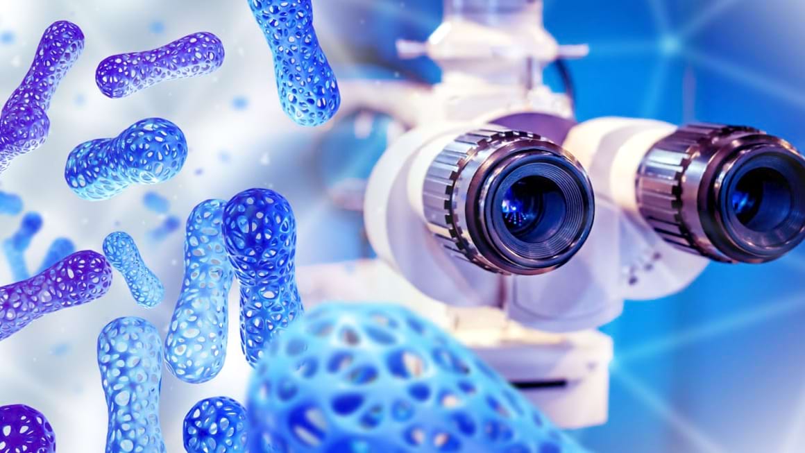 Probioticele pot reduce inflamatia rinichilor la pacientii cu lupus