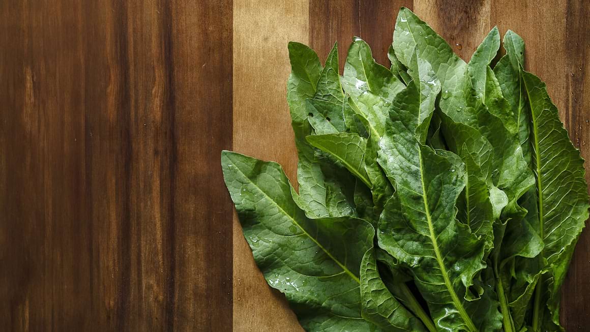Stevia romaneasca: beneficii si retete