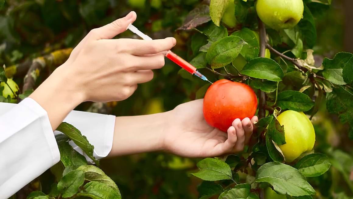 Toxine pe care sa le elimini din alimentatie