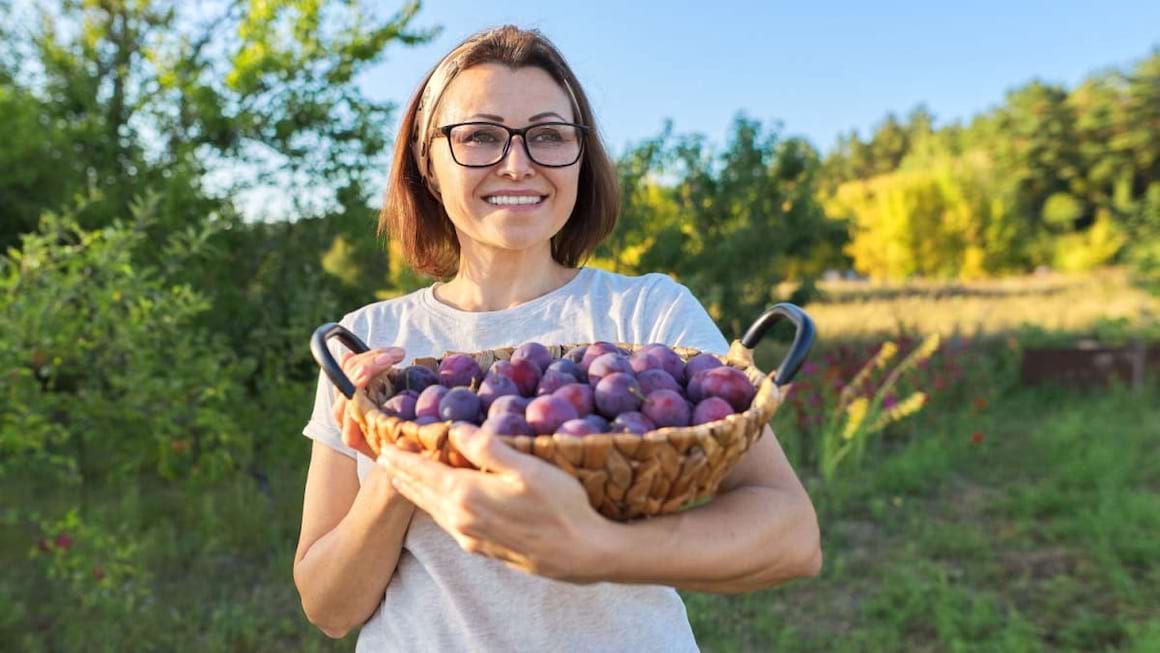 Beneficiile consumului de prune