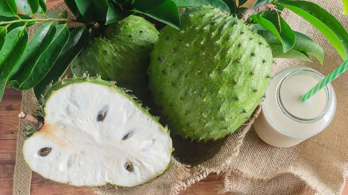 Graviola, fructul cu proprietati anticancer