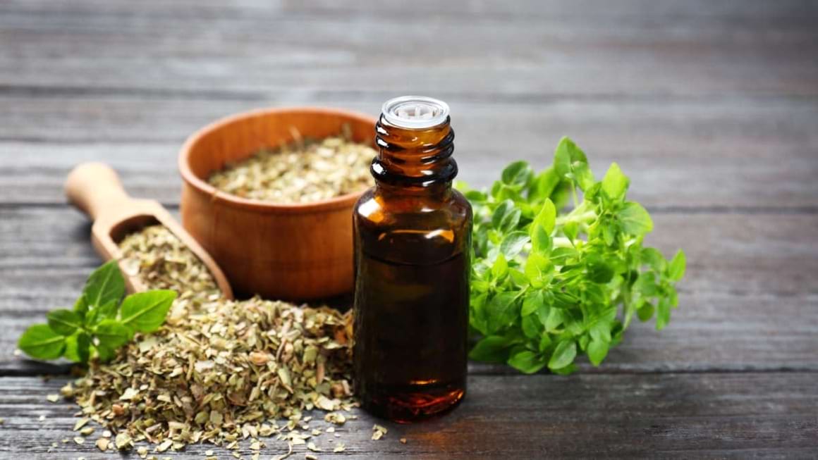 Ulei esential de oregano salbatic: beneficii si intrebuintari