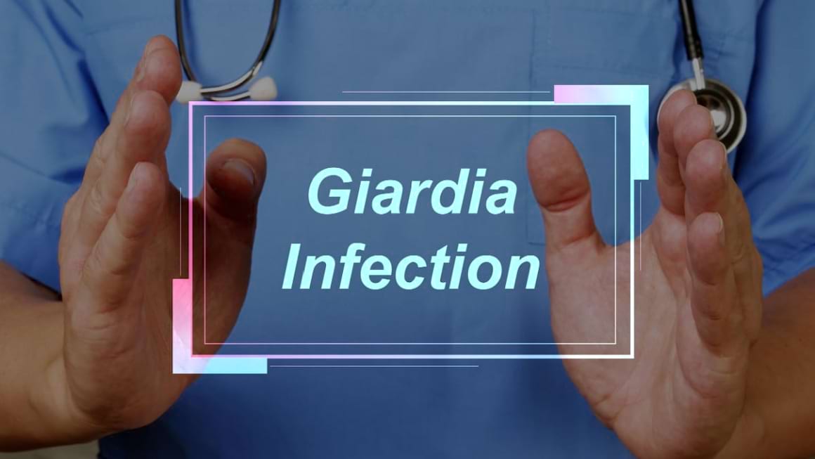 Giardioza: cauze, simptome si tratament