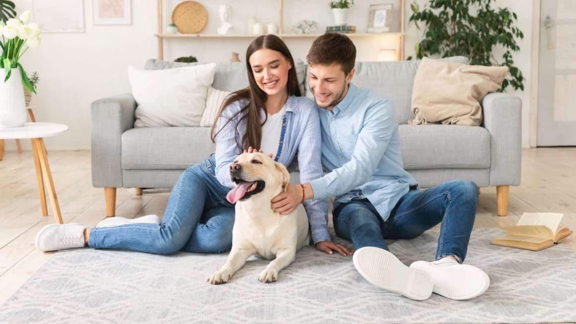 Cum combati mirosul lasat de animalele de casa?