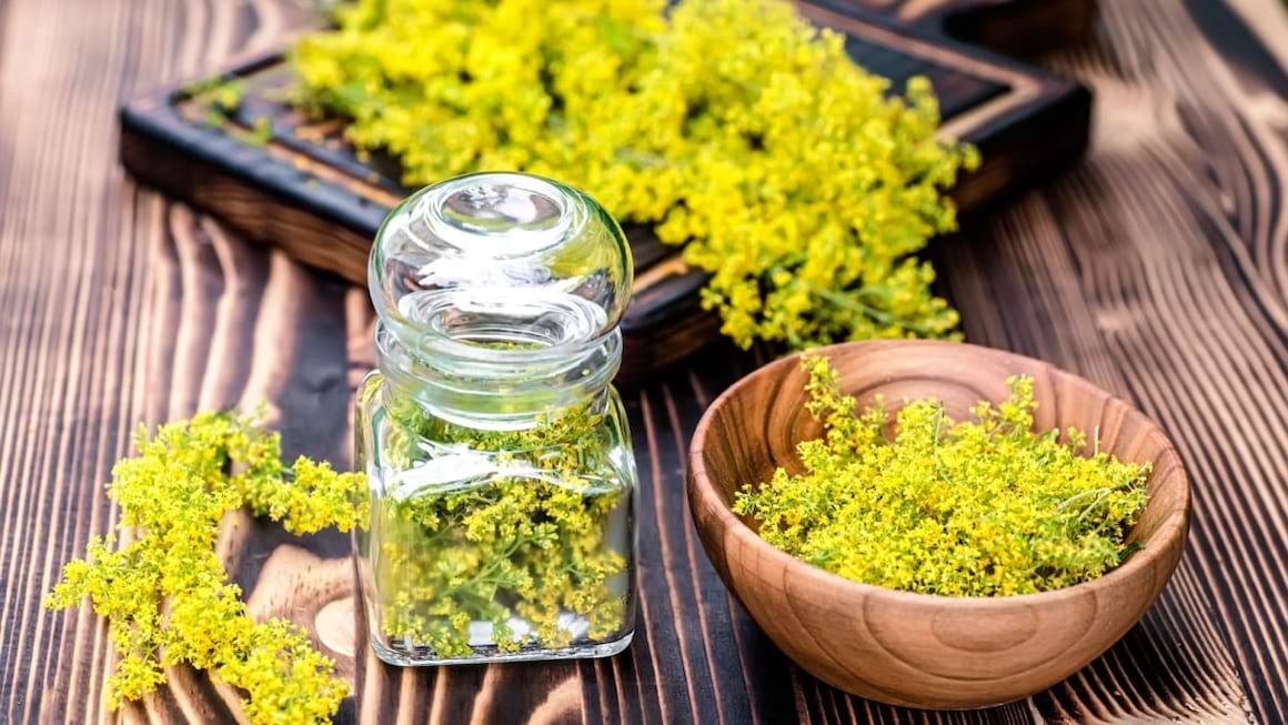 Florile de sanziene, efecte terapeutice si retete de infrumusetare