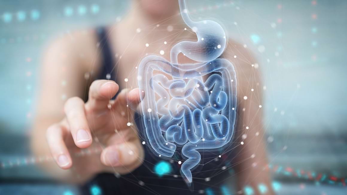 De ce a început să fie considerat microbiomul ca fiind al doilea creier?