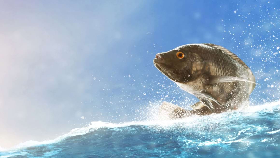 Pielea de peste Tilapia, folosita pentru tratarea arsurilor pielii