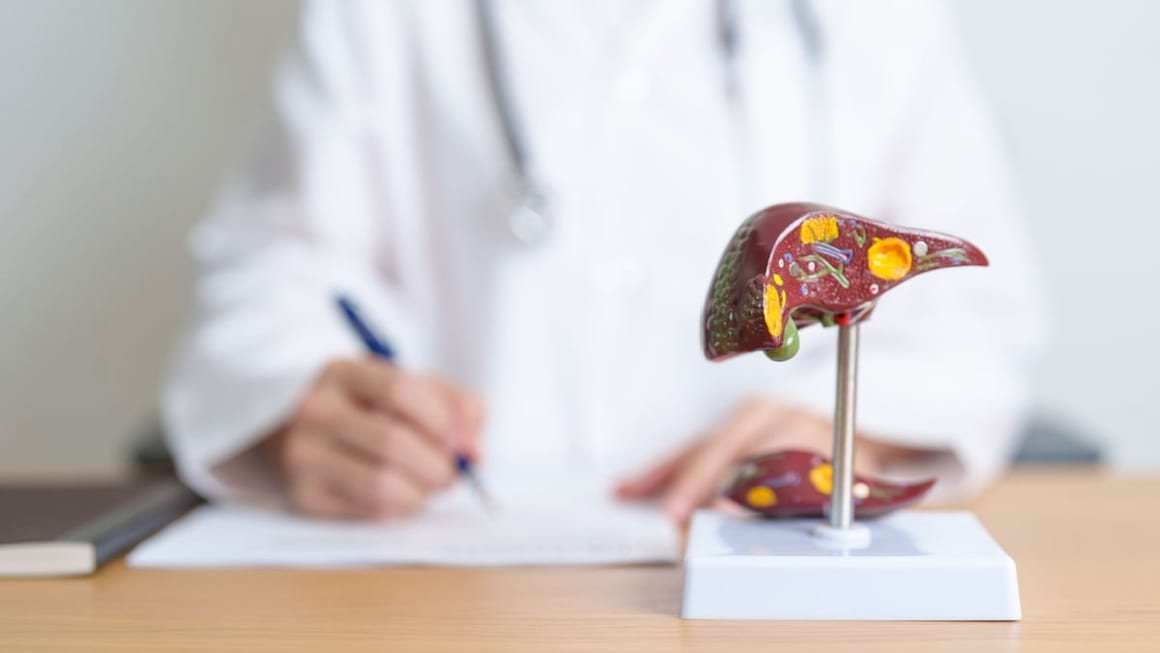 Stadiile Hepatitei C – Faza Cronica – simptome și evolutie
