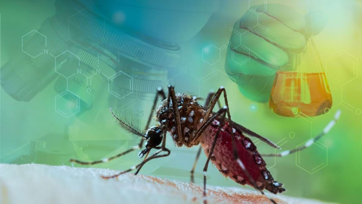 Totul despre virusul West Nile: Cauze, Simptome & Tratament