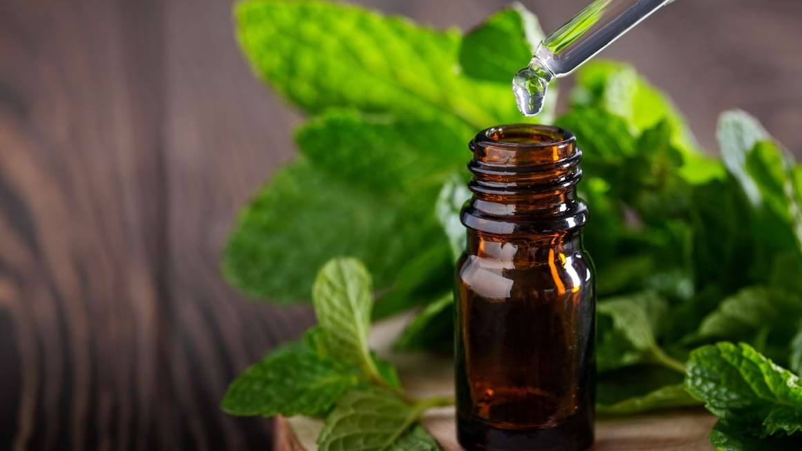 Proprietatile vindecatoare ale uleiului de menta