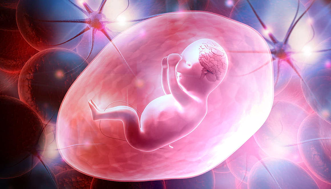 Antidepresivele încetinesc dezvoltarea neuronală a fătului [studiu]