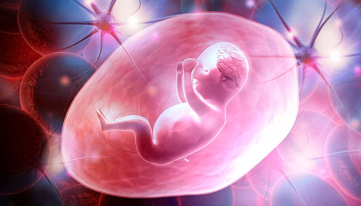 Antidepresivele încetinesc dezvoltarea neuronală a fătului [studiu]