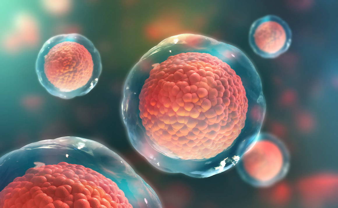Ce impact are stresul oxidativ asupra imunității
