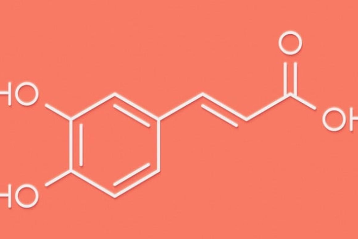 Acidul cafeic: beneficii, efecte secundare si surse naturale