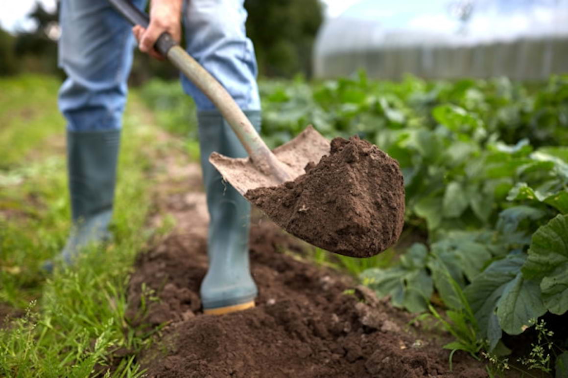 5 activitati care-ti pot cauza dureri de spate in vara aceasta